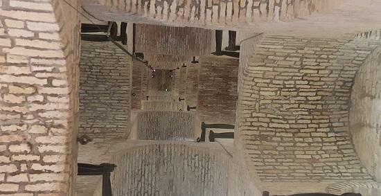 Torcello Lagoon venice