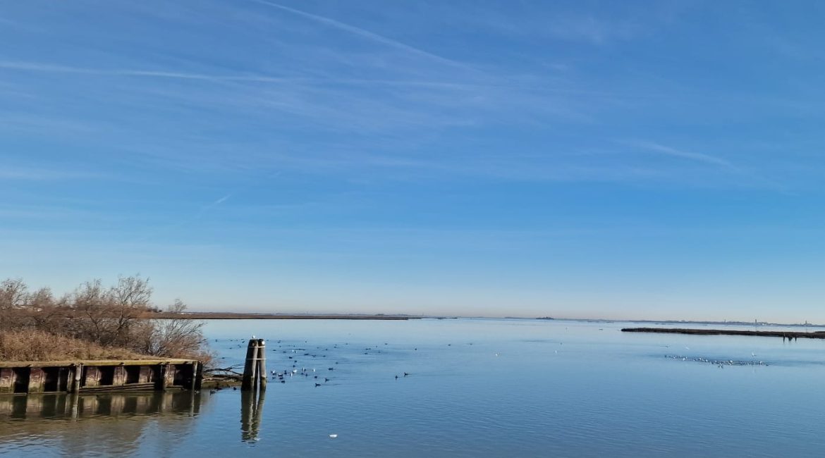 Practical info to explore the Venice Lagoon