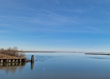 Alla scoperta della Laguna di Venezia